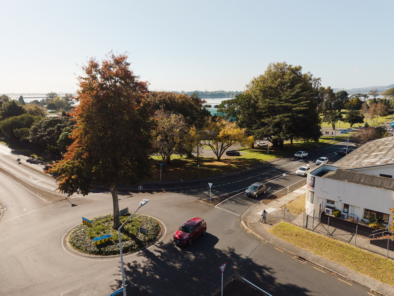 View from above the corner of Eleventh Avenue and Devonport Road looking across to Memorial Park, with the Tauranga harbour and Matapihi visible through the autumn trees.